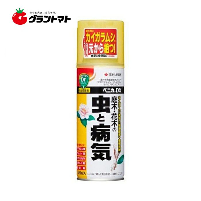 中毒研究 楽天市場】X-ENERGY 600ml KINCHO園芸 植物覚醒 エックス