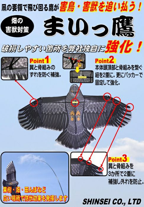 鷹と松　 まいっ鷹 防鳥具 カイト シンセイ | グラントマトオンラインショップ