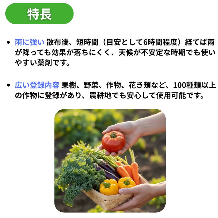 特長