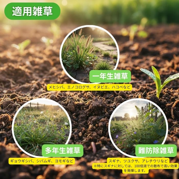 適用雑草